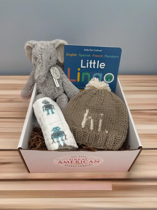 Welcome Baby Traveler Gift Box